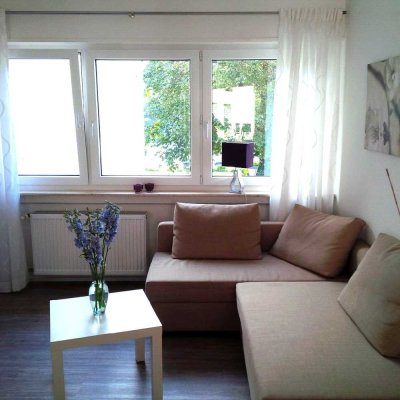 Attraktives Apartment mit Blick auf die schöne Neckarwiese, möbliert