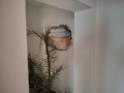 Schöne Helle 3 - Zimmerwohnung frisch renoviert
