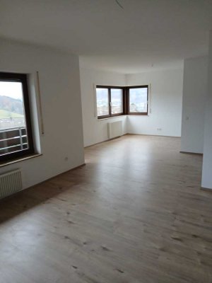Schöne 1 1/2 Zi-Wohnung nahe Heidelberg