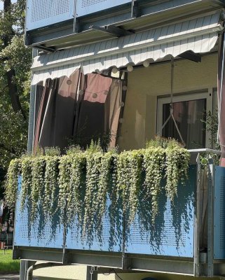 Modern - Zentrumsnah - Im Grünen - 4 Zimmer in KA-Nordstadt