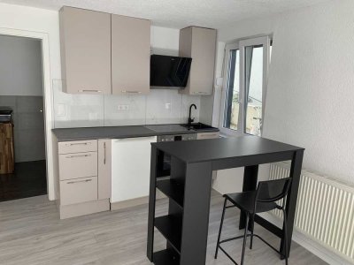 Helles und geräumiges 1-Zimmer Apartment im EG ab sofort zu vermieten - Einbauküche