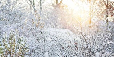 Architektenhaus mit Einliegerwohnung und ruhigem, traumhaftem Garten mit altem Baumbestand
