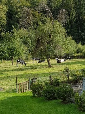 Naturliebhaber und Hobbygärtner aufgepaßt !