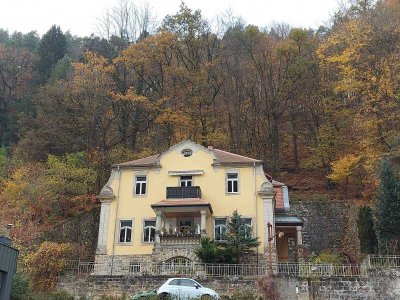 PREISSENKUNG - 2 ETW in Bad Schandau