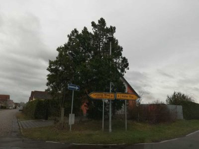 schickes Reihenmittelhaus mit viel Platz sucht nette Mieter