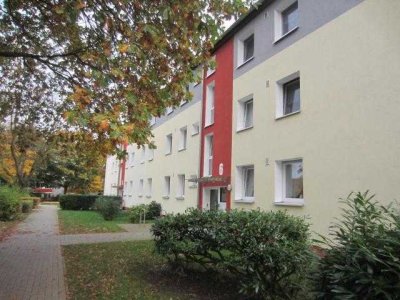 Ihr neues Zuhause in Schwarzenbek! Schicke, frisch renovierte 3-Zimmer-Wohnung mit Balkon!