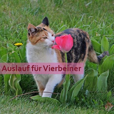 Die perfekte Wohlfühloase – Modernes Einfamilienhaus von Schwabenhaus