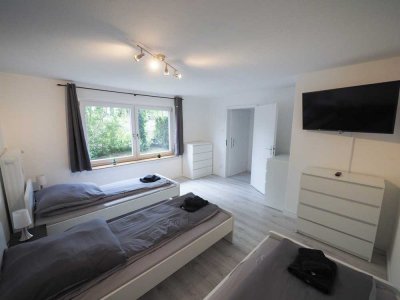 Sanierte und möblierte Einzimmerwohnung