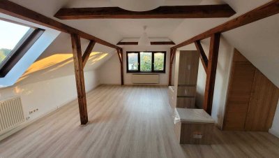 sehr schöne 2-Raum-Dachgeschoßwohnung im Zweifamilienhaus mit großem Wohnzimmer und Einbauküche