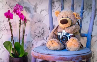 Doppelhauspartner gesucht! - Das Leben im grünen Garten genießen!