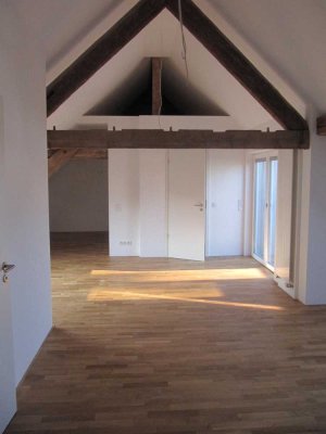 Stilvolle Wohnung mit Dachterrasse