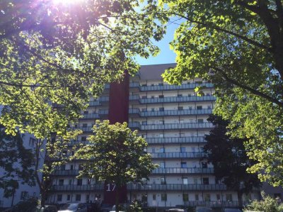 Die gefällt mir: individuelle 2-Zimmer-Wohnung