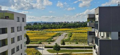RESERVIERT! Wohnen beim See + U-Bahn: Sehr schöne 4 Zimmer Genossenschaftswohnung in der Seestadt Aspern