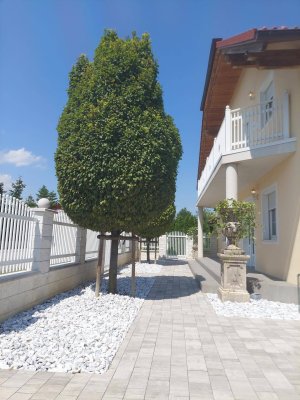 Modernes Einfamilienhaus mit 7 Zimmern und Garten in Draßburg PROVISIONSFREI