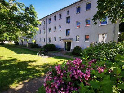 3-Raum-Wohnung im Erdgeschoss mit Dusche