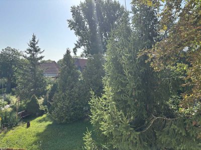 In ruhigem 4-Familienhaus mit großem Garten