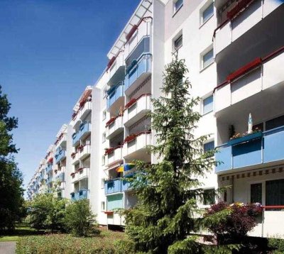 Wohnungsangebot Widderstraße 8