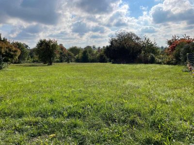 Doppelhaushälfte auf Traumgrundstück mit Blick ins Grüne - Neubau am Ortsrand