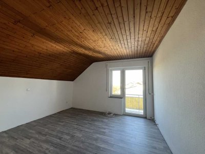 Neu renovierte Wohnung mit Balkon