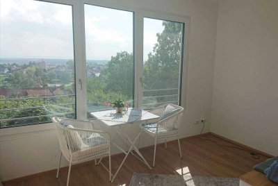 1-Zimmer Apartment mit großartiger Aussicht - 360° Rundgang