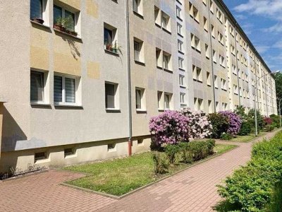 Geräumige Wohnung sucht Nachmieter