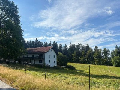 Von Privat: Bauernhaus mit 11.000 qm Grund in Haidmühle FRG