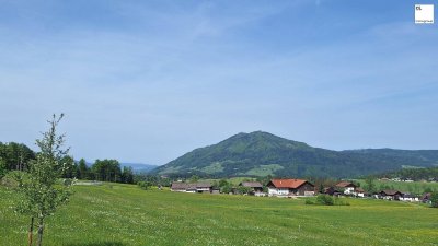 Wohnen am Waldesrand im schönen Mondseeland - Ruhelage - Baubeginn erfolgt! *provisionsfrei* Zweitwohnsitz