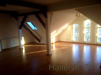 Schöne, sanierte 2-Zimmer-Dachgeschosswohnung mit gehobener Innenausstattung in Merseburg