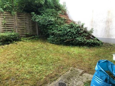 Ihr Rückzugsort im Grünen – sanierte 1,5-Zimmer-Wohnung mit Garten