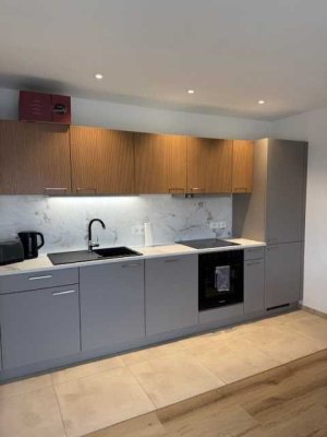 Schöne, helle, neu renovierte 2-Zimmer Wohnung mit EBK in VS-Schwenningen