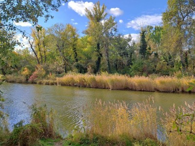 "IN ABWICKLUNG" - IDYLLISCHE LAGE NAHE "SCHILLERWASSER" BZW. "MÜHLWASSER"