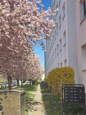 Wo das Leben so spielt - interessante 3-Zimmer-Wohnung