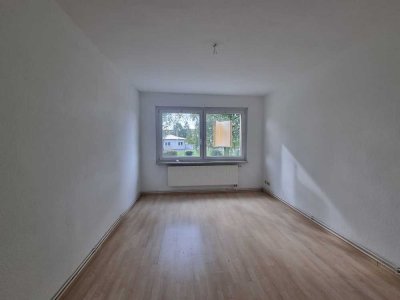 Ankommen und wohlfühlen ! Ihre gemütliche Singlewohnung im schönen Hayn