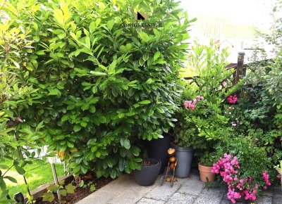 Einladung: Offene Besichtigung am Sonntag, 16.11. von 13.30 Uhr bis 15.30 Uhr.