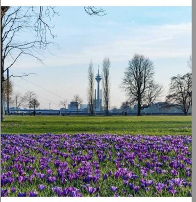 Stadt Domizil Rhein-Traum 1. Reihe einzigartiger Blick direkt am Park/Riverside Living