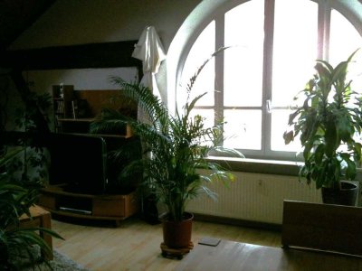Wunderschöne 2 ZKB im barocken Eichstätt