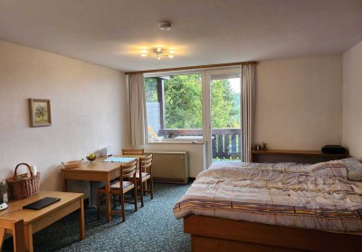 1-Zimmer-Wohnung mit EBK in Vohenstrauß