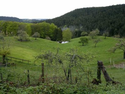 RUHIG WOHNEN IN EINER DER SCHÖNSTEN LAGEN AM STADTRAND - TEL. 01714863595