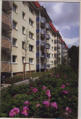 4 Zimmer Wohnung in Waren West