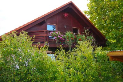 Familienidyll mit Kamin und Gartenteich in Dresden