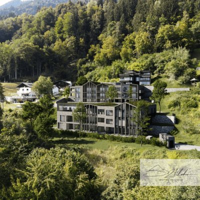 Symbiose zwischen See, Berg, 21lakes