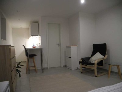 Möbliertes, schönes Apartment in Bingen-Gaulsheim für Wochenend-HeimfahrerInnen