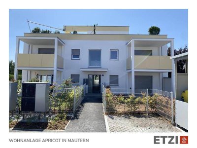 JETZT BESICHTIGEN...KAUFEN... EINZIEHEN - Wohnung Top 04 in Mautern/Donau