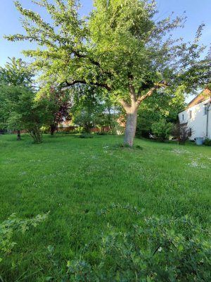 Charmantes Bauernhaus in Moos. 130qm, 5 Zimmer, großer Garten