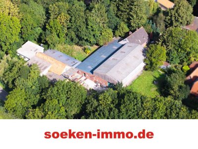 Resthof im kleinen Friesendorf Westrum *HF2509*