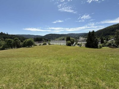 Schöne 2-Zimmer-Wohnung in Breitenbrunn/Erzgebirge