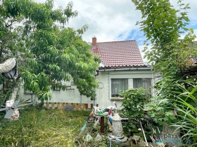 Sanierungsobjekt für Handwerker!
EFH in Deichnähe im schönen Dorf Breese