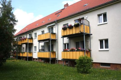 Seniorenfreundliche 2-Raum-Wohnung mit Balkon und Bad mit Dusche im Grünen
