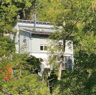 ** EXKLUSIVES WOHNJUWEL mit SwimSpa im Grünen - wahre Lebensqualität