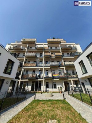 ++ Top Investition ++ Befristet vermietete Altbauwohnung + saniert + Balkon